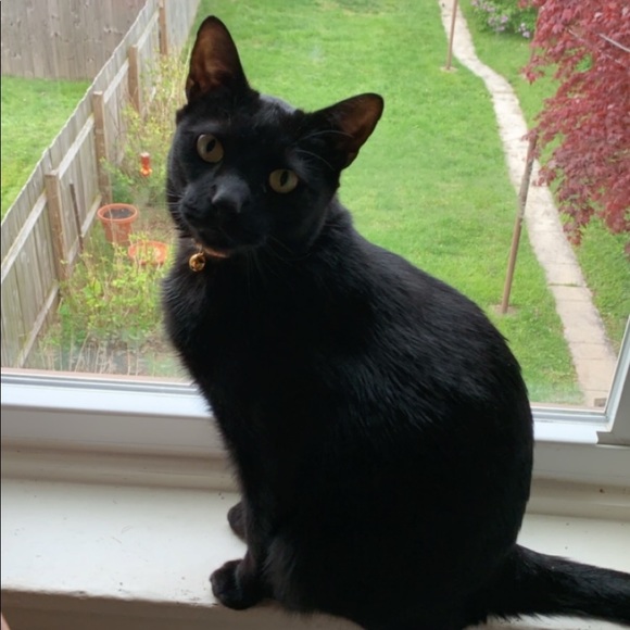 Meet your Posher, Sarah - Picture 2 of 4